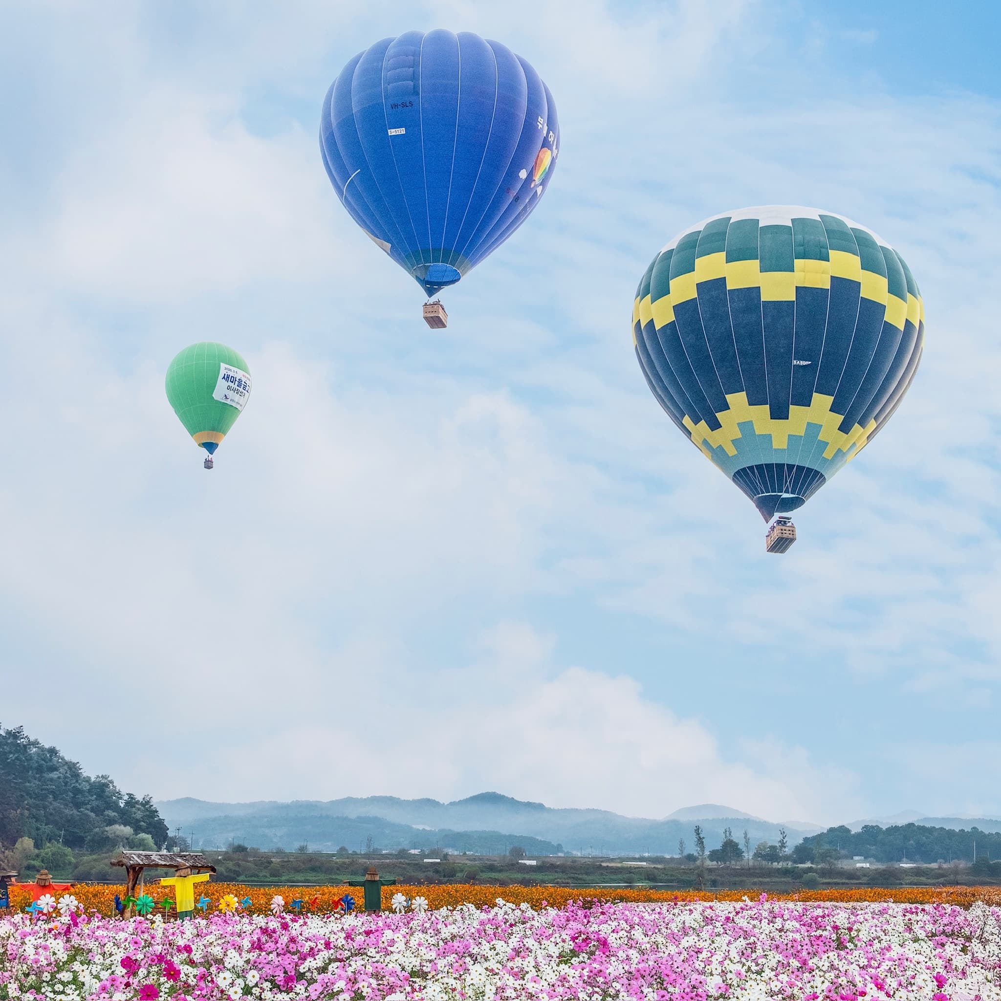 꽃밭 위 열기구 축제